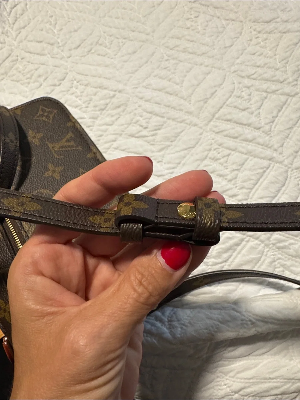 Louis Vuitton Monogram Pochette Métis East West